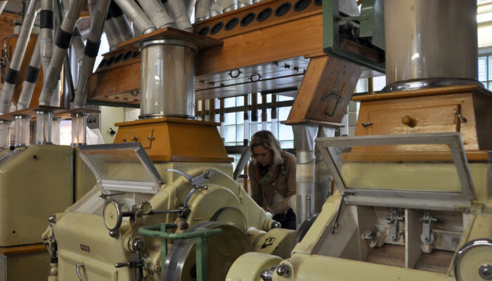 Abbildung 8 Mühlenbesichtigung © Obere Mühle Gosbach