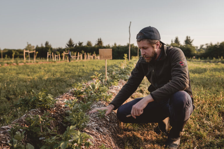 followfood: Was wir essen verändert die Welt